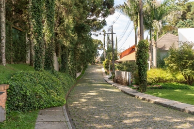 Araucárias de São Lourenço em CURITIBA