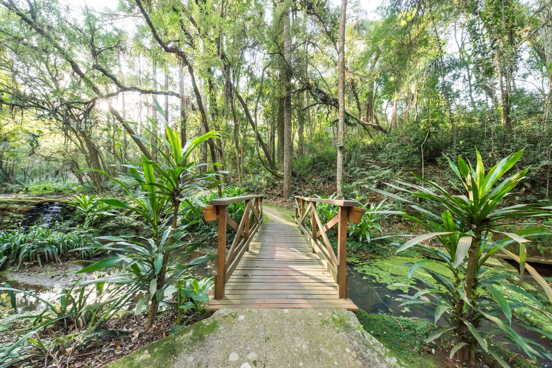 Casa de 5 Quartos à Venda no Condomínio Villa Lobos | Campo Comprido  Curitiba — foto 31