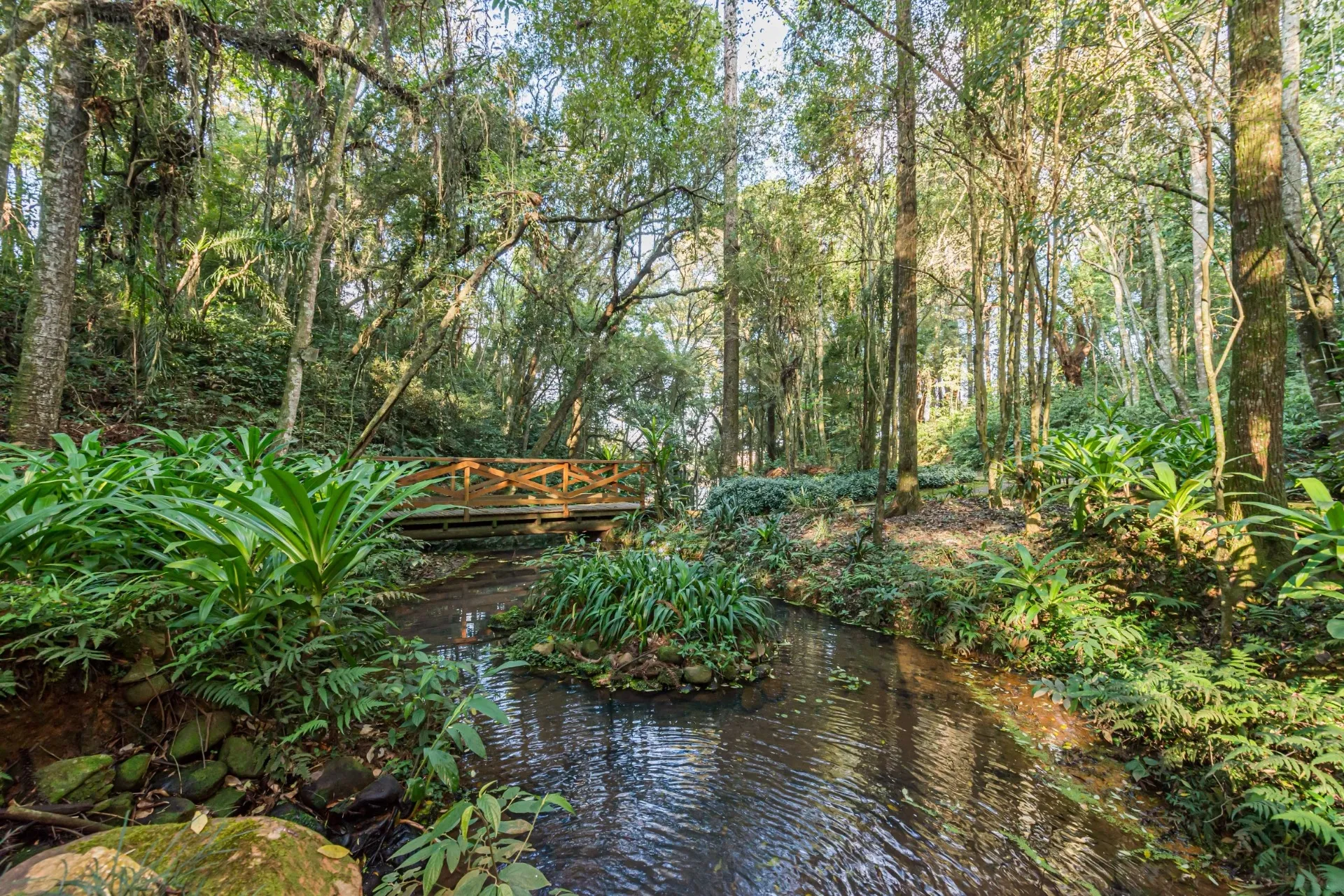 Casa de 5 Quartos à Venda no Condomínio Villa Lobos | Campo Comprido  Curitiba — foto 30