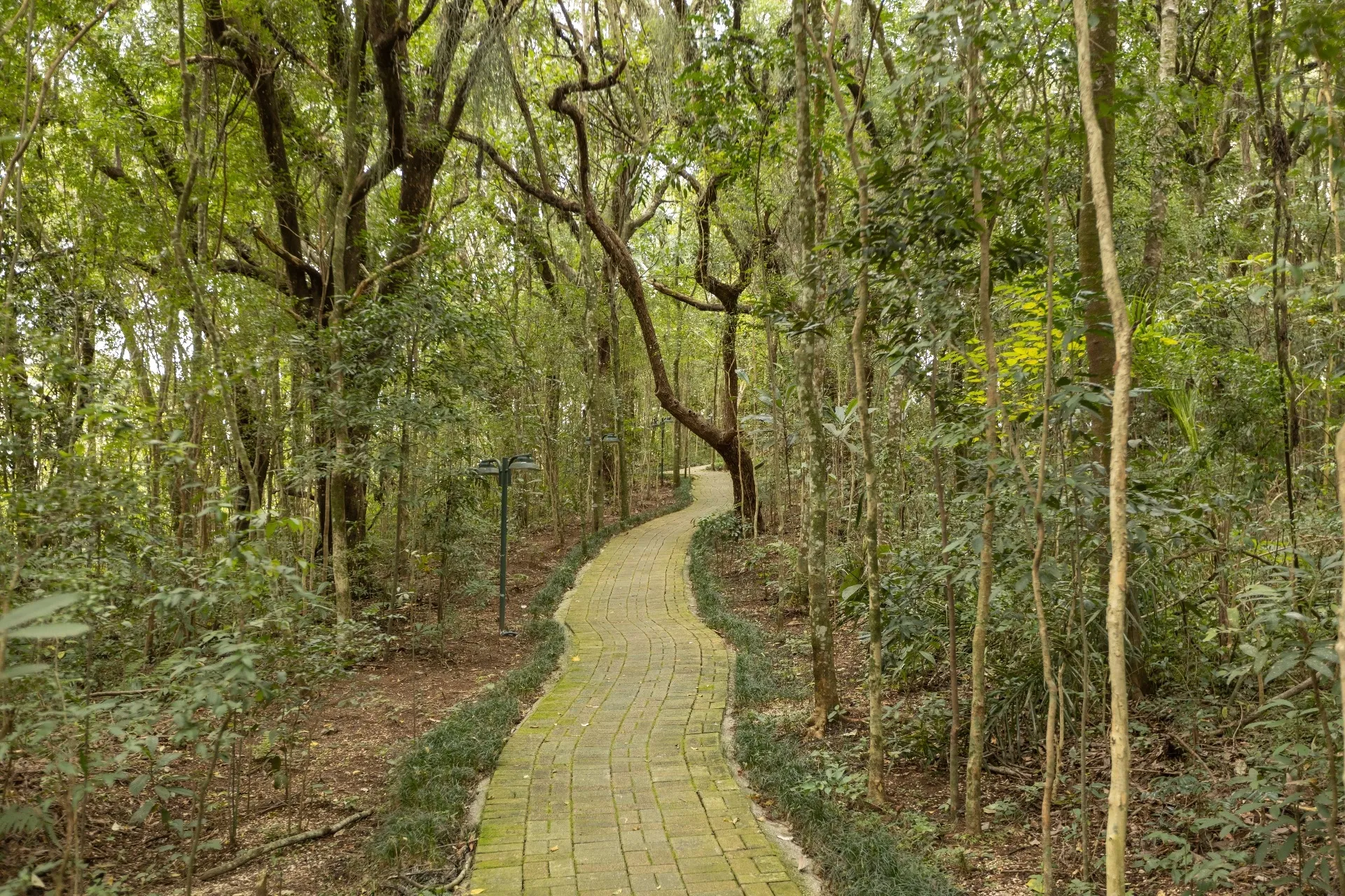 Casa de 3 Quartos à Venda no Condomínio Westside lll | Campo Comprido  Curitiba — foto 41