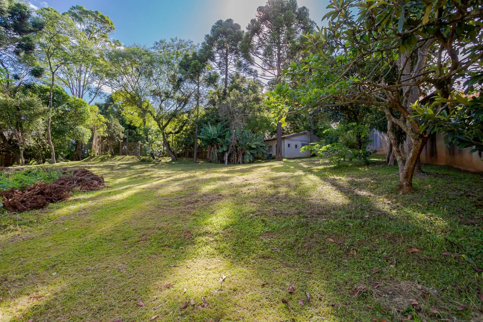 Terreno de 8.459m² à Venda na Rua  Nicolau José Gravina |Santa Felicidade  Curitiba — foto 9