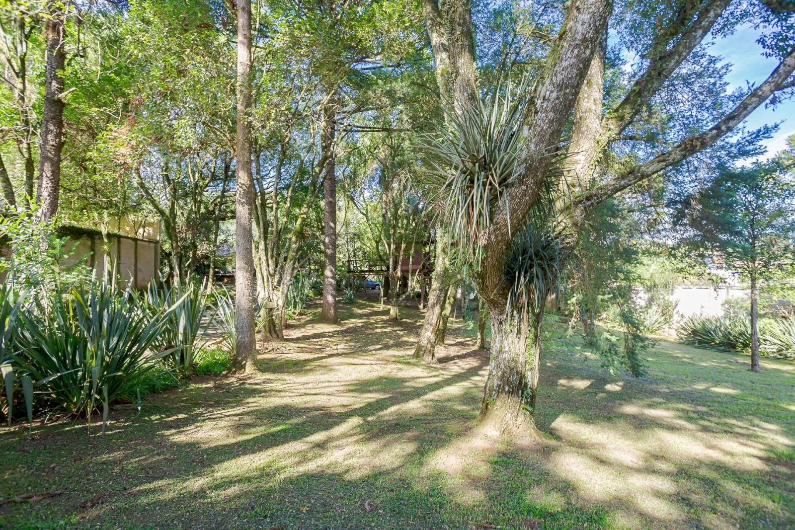 Terreno de 8.459m² à Venda na Rua  Nicolau José Gravina |Santa Felicidade  Curitiba — foto 19