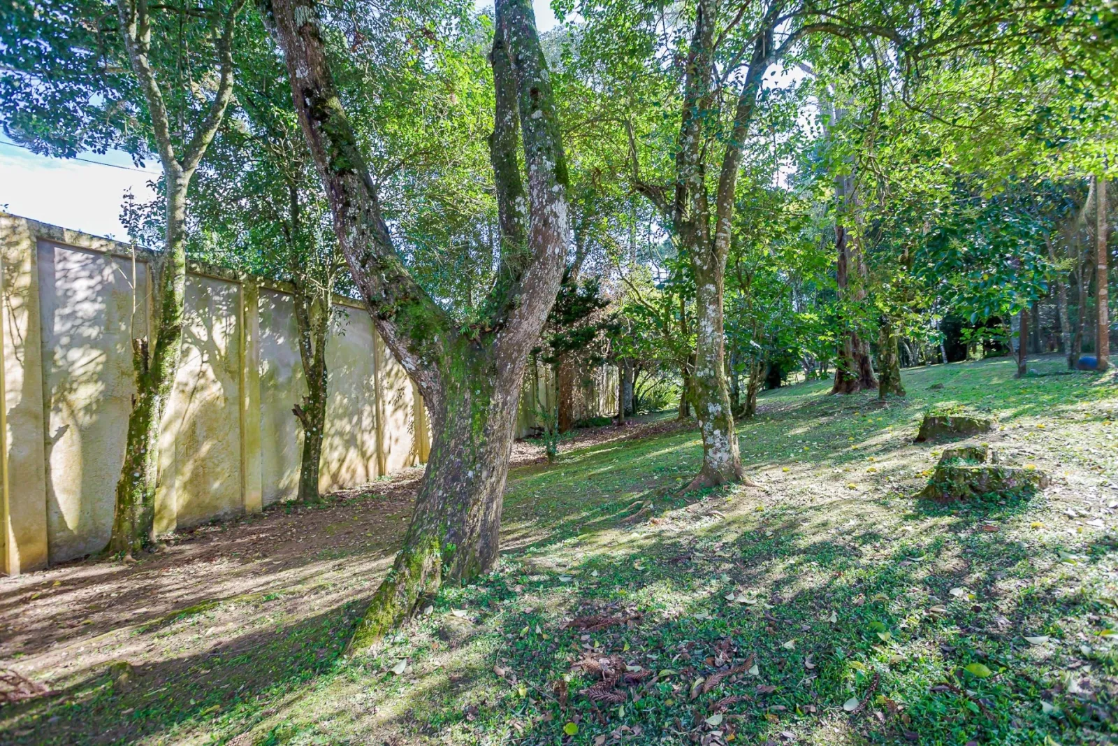 Terreno de 8.459m² à Venda na Rua  Nicolau José Gravina |Santa Felicidade  Curitiba — foto 12