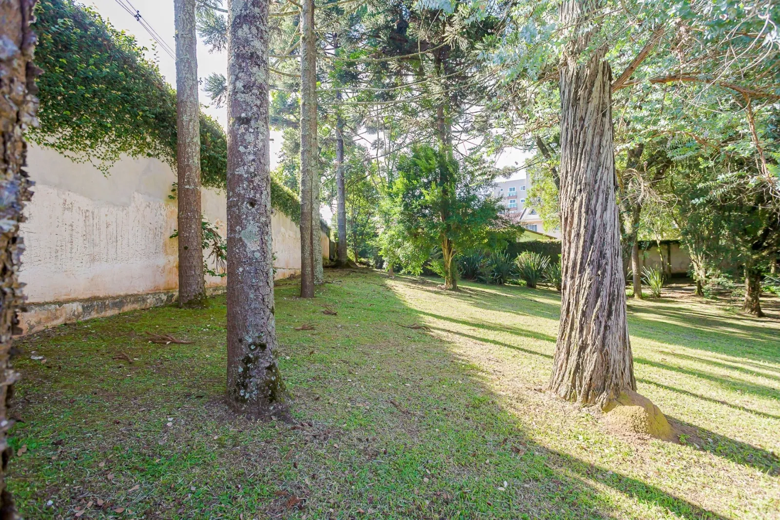 Terreno de 8.459m² à Venda na Rua  Nicolau José Gravina |Santa Felicidade  Curitiba — foto 17