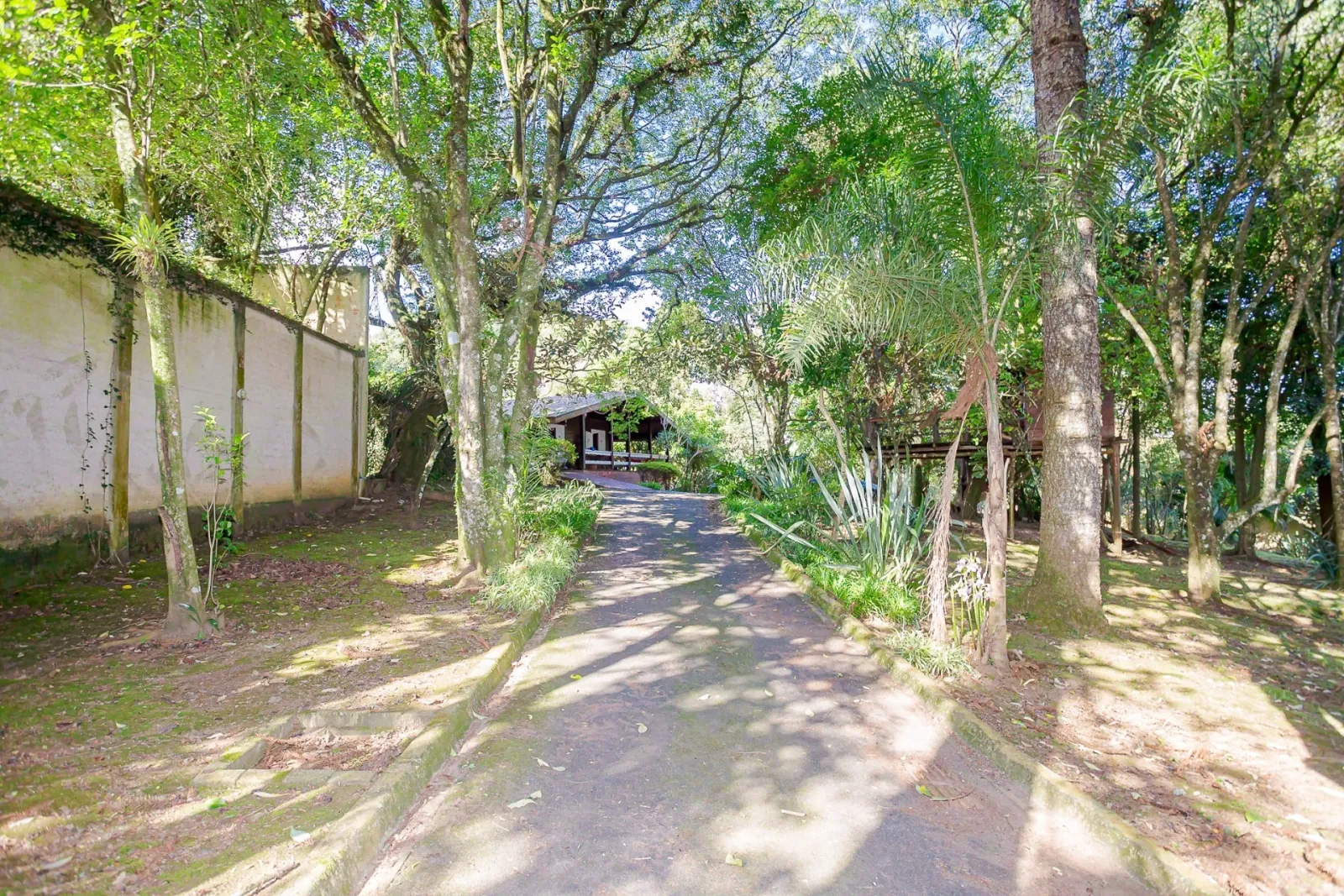 Terreno de 8.459m² à Venda na Rua  Nicolau José Gravina |Santa Felicidade  Curitiba — foto 3