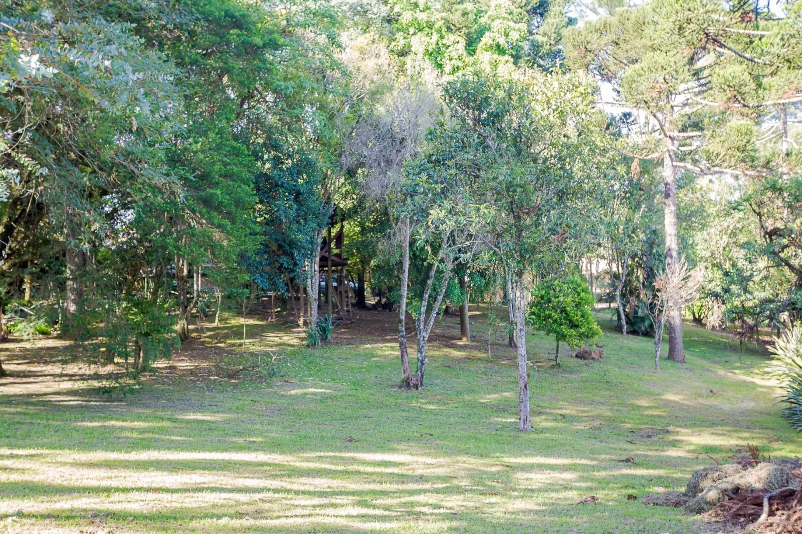 Terreno de 8.459m² à Venda na Rua  Nicolau José Gravina |Santa Felicidade  Curitiba — foto 11