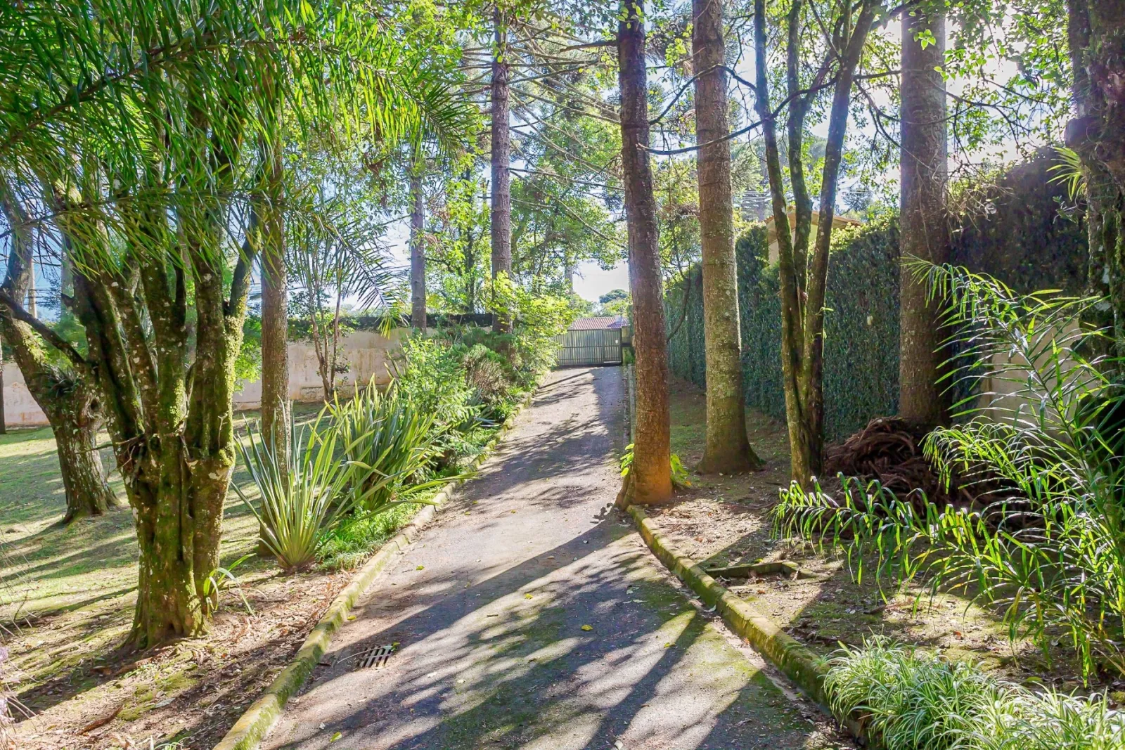 Terreno de 8.459m² à Venda na Rua  Nicolau José Gravina |Santa Felicidade  Curitiba — foto 33