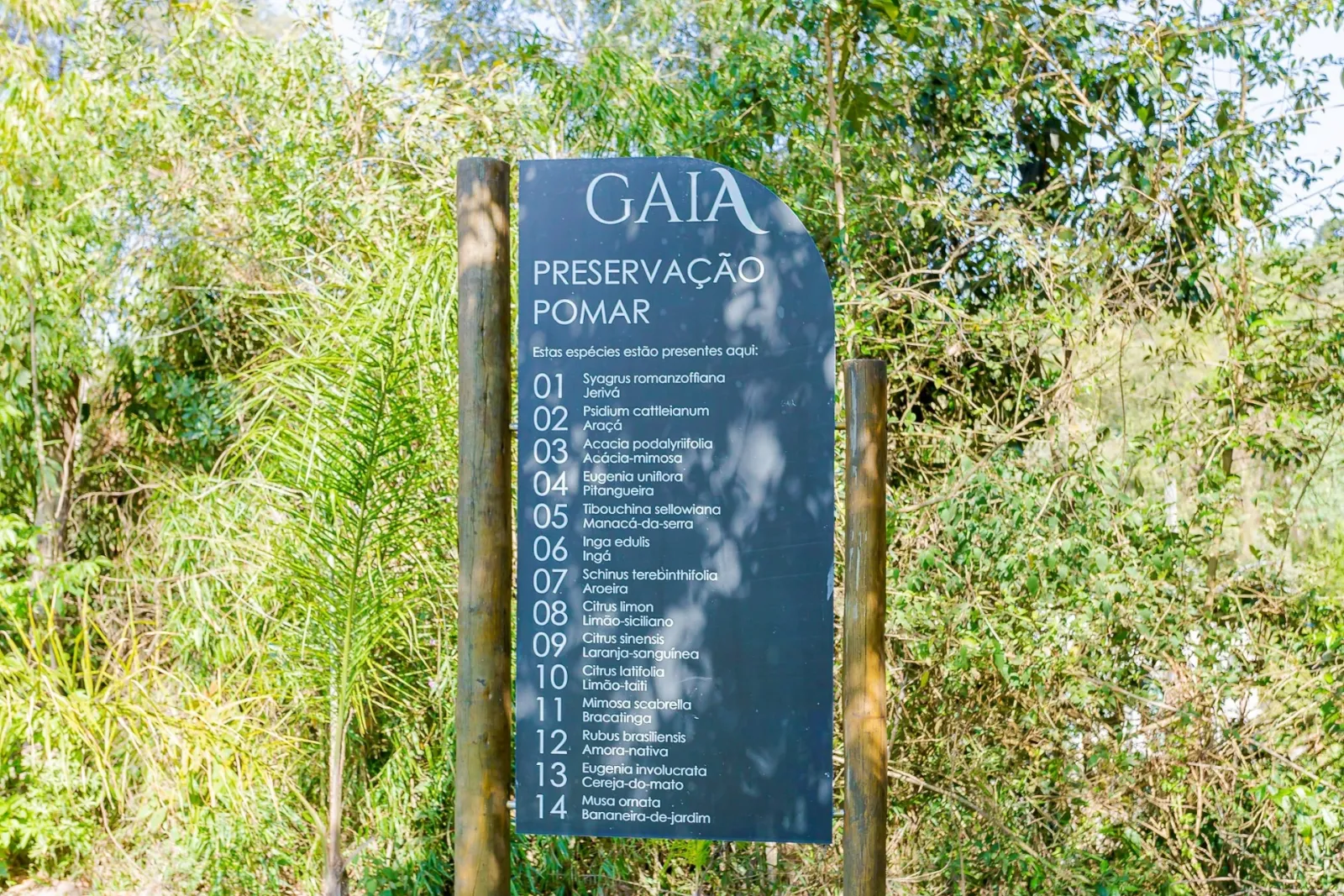 Terreno de 710m² à Venda no  Residencial Gaia | Butiatuvinha  Curitiba — foto 16