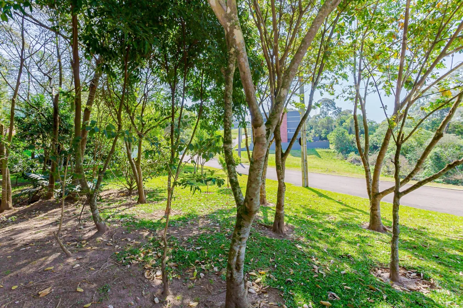 Terreno de 719m² à Venda no Residencial Gaia | Butiatuvinha  Curitiba — foto 25