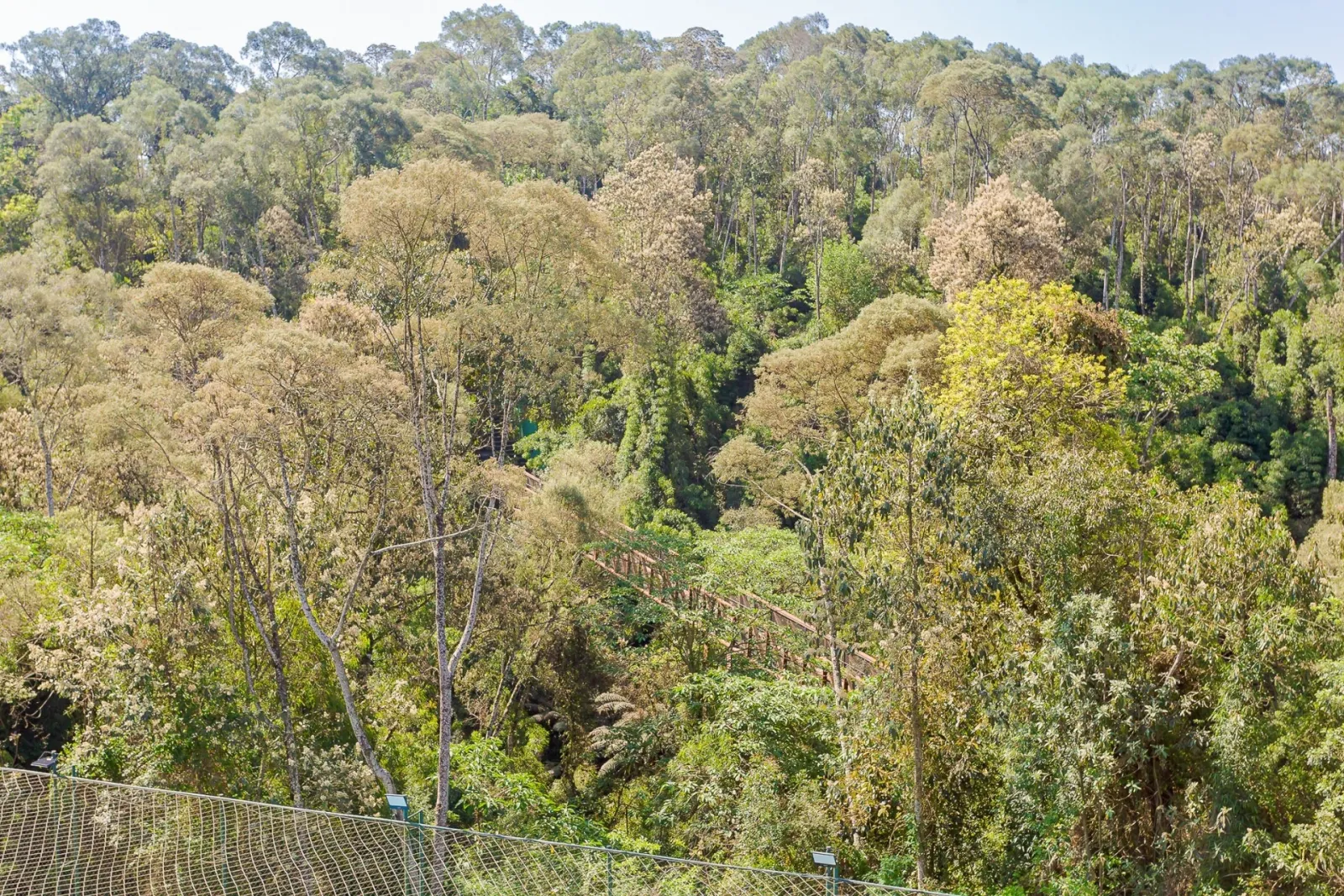 Terreno de 719m² à Venda no Residencial Gaia | Butiatuvinha  Curitiba — foto 19