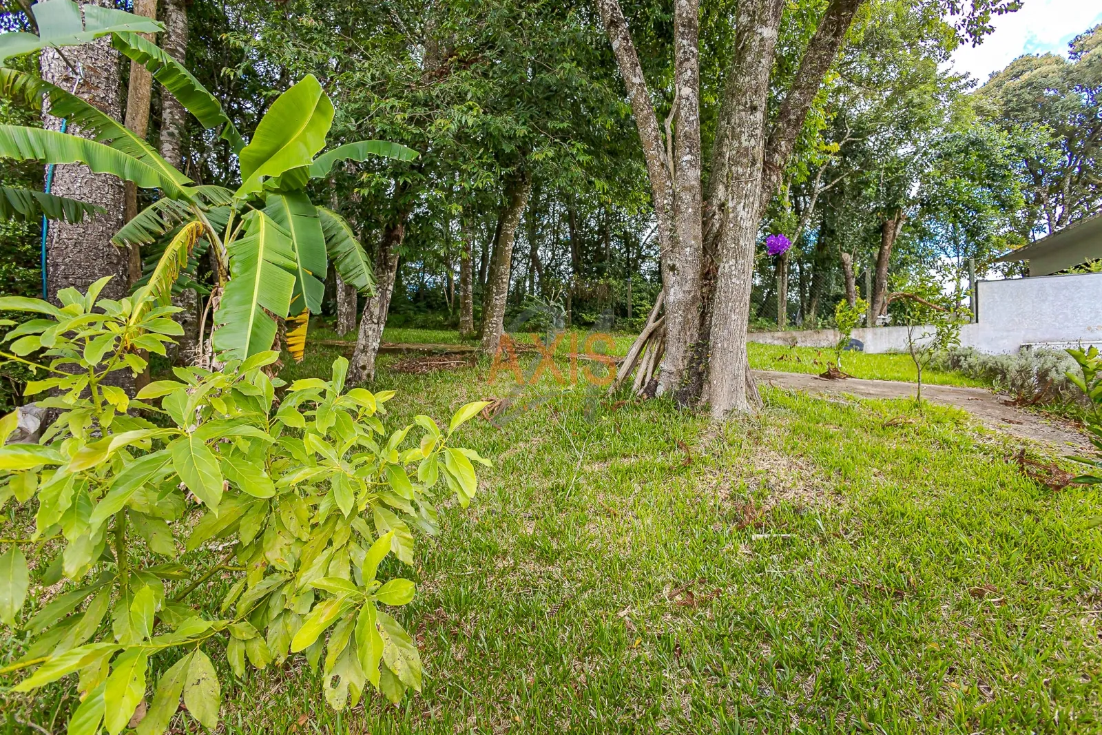 Casa de 4 Quartos à Venda no Condomínio Citá Verdi | Santa Felicidade Curitiba — foto 6