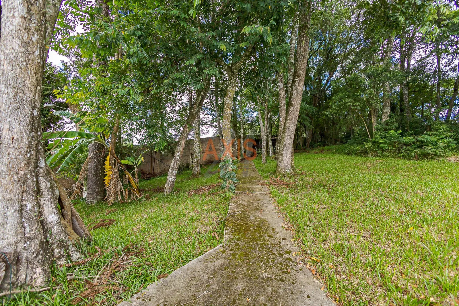 Casa de 4 Quartos à Venda no Condomínio Citá Verdi | Santa Felicidade Curitiba — foto 7