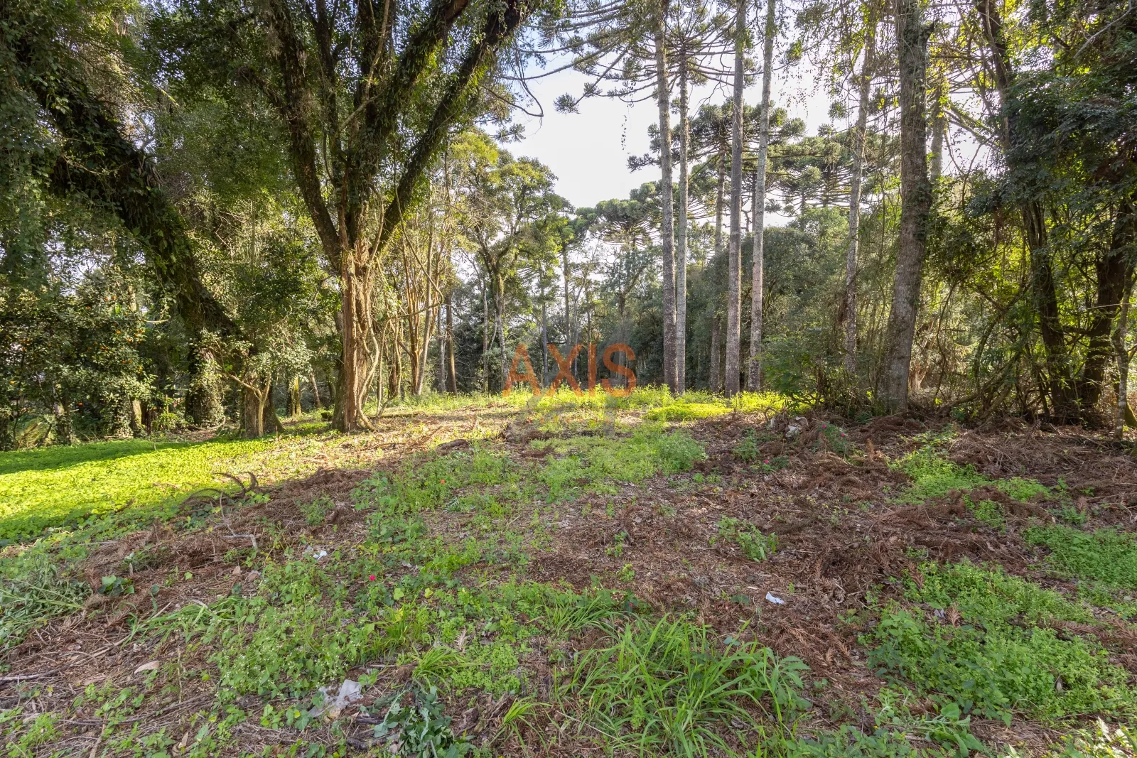 Terreno  de  4.595m² à Venda na Rua Nicola Pellanda | Umbará Curitiba — foto 11