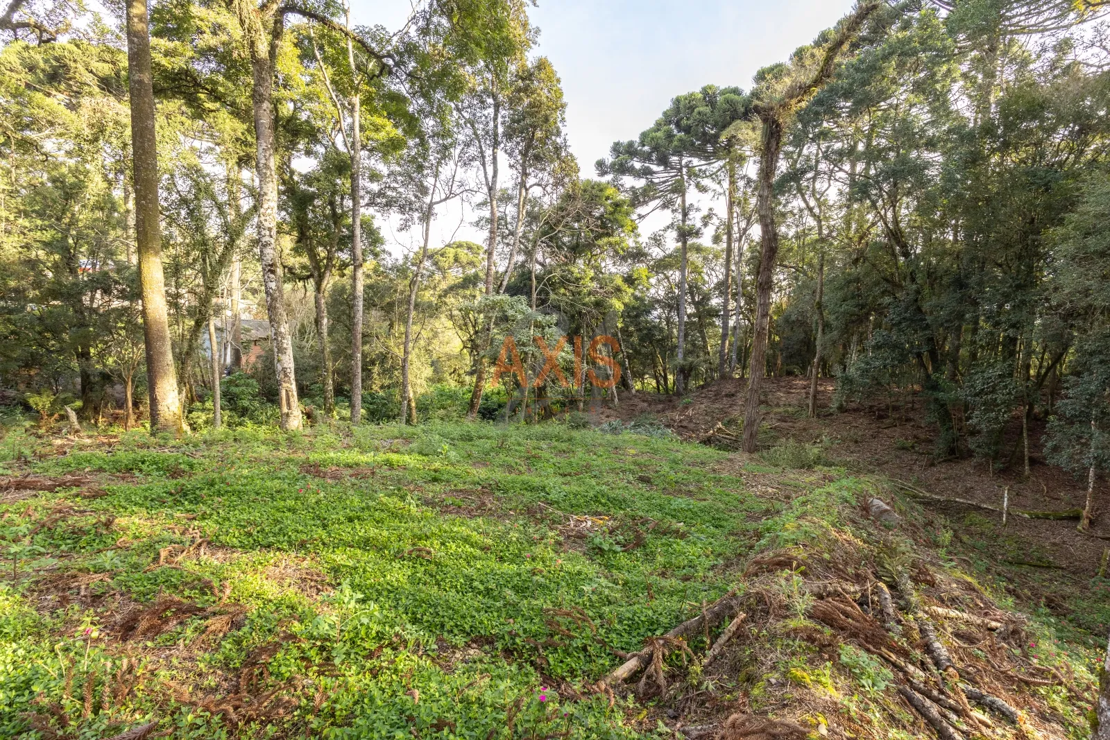 Terreno  de  4.595m² à Venda na Rua Nicola Pellanda | Umbará Curitiba — foto 14
