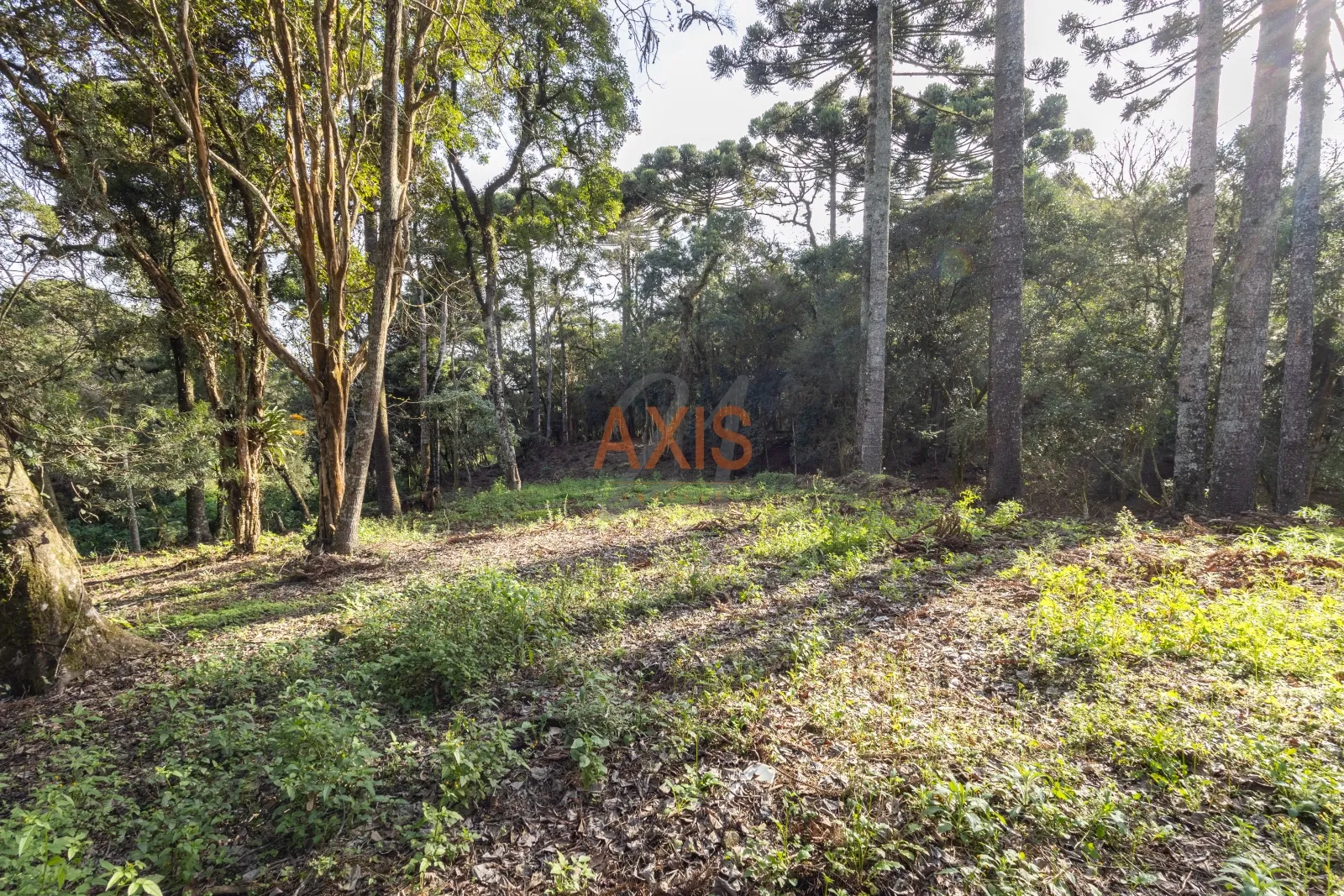 Terreno  de  4.595m² à Venda na Rua Nicola Pellanda | Umbará Curitiba — foto 13